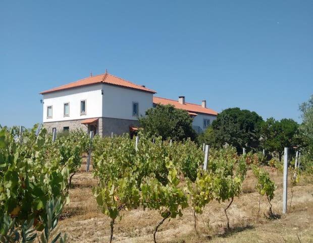 Villa Quinta de Vodra Seia Esterno foto