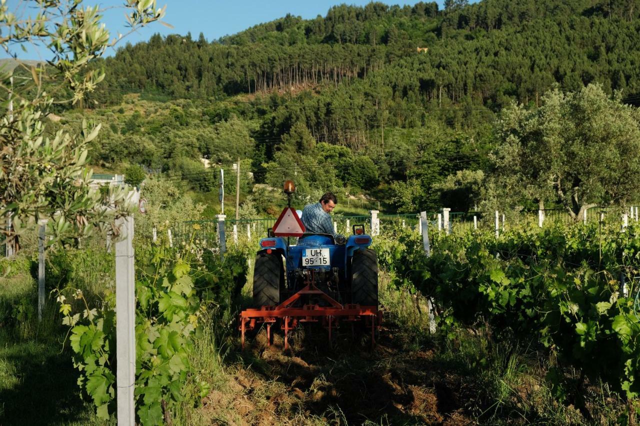 Villa Quinta de Vodra Seia Esterno foto